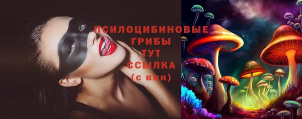 амфетамин Богданович