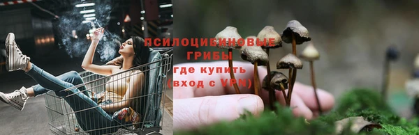 не бодяженный Богородицк